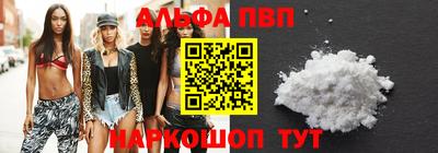 spice Гатчина
