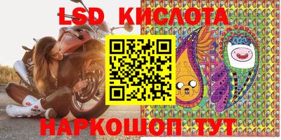 spice Гатчина