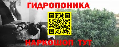spice Гатчина