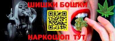 spice Гатчина