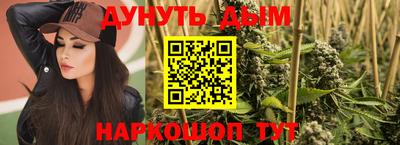 тгк Гай