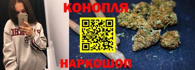 тгк Гай