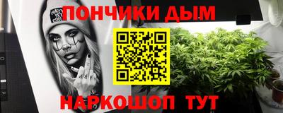 spice Гатчина