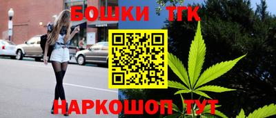 spice Гатчина