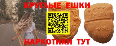 тгк Гай