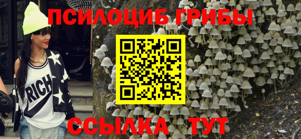 Галлюциногенные грибы мицелий Камышин