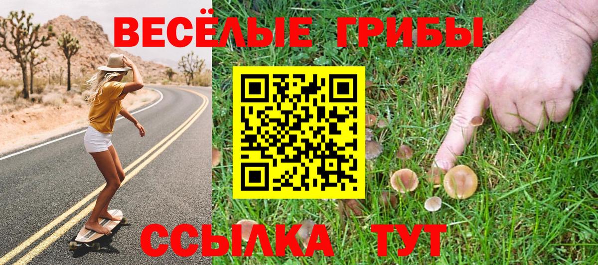Галлюциногенные грибы GOLDEN TEACHER  Вход с VPN  Камышин 